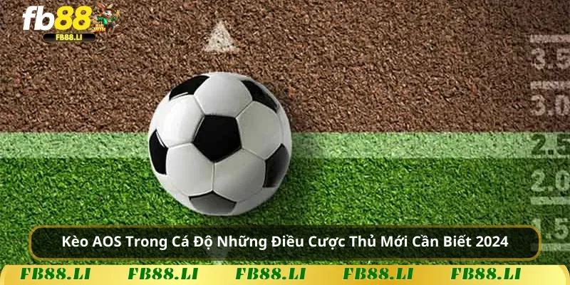Kèo AOS Trong Cá Độ Những Điều Cược Thủ Cần Biết 2024